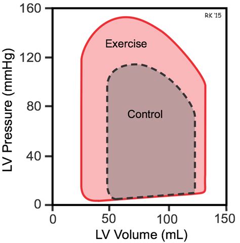 pv loop exercise.